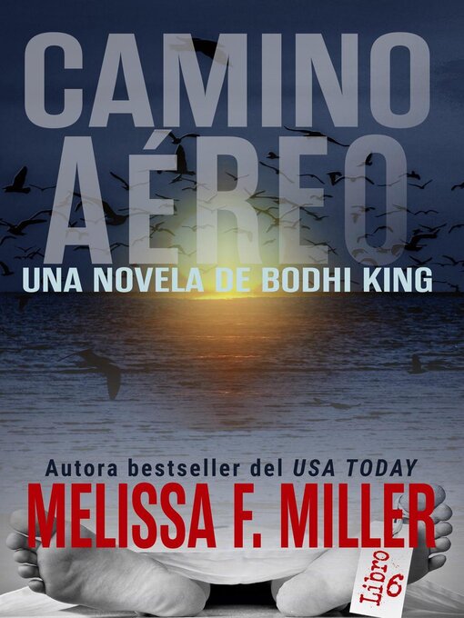 Title details for Camino Aéreo by Melissa F. Miller - Available